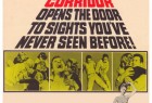 [惊恐回廊/恐怖走廊 Shock Corridor][1963][美国][剧情][英语]