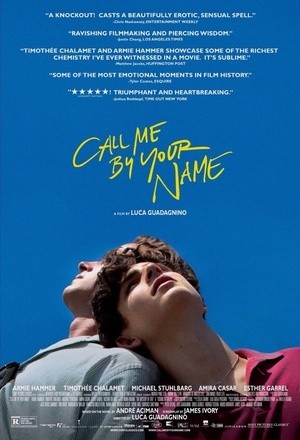 [请以你的名字呼唤我 / 以你的名字呼唤我(港/台)/Call Me by Your Name][2017][意大利][剧情][意大利语]