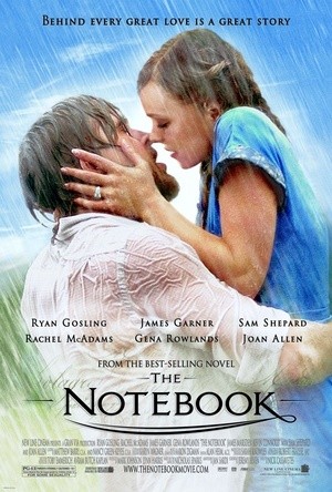 [恋恋笔记本 / 忘了·忘不了(港)/The Notebook][2004][美国][剧情][英语]